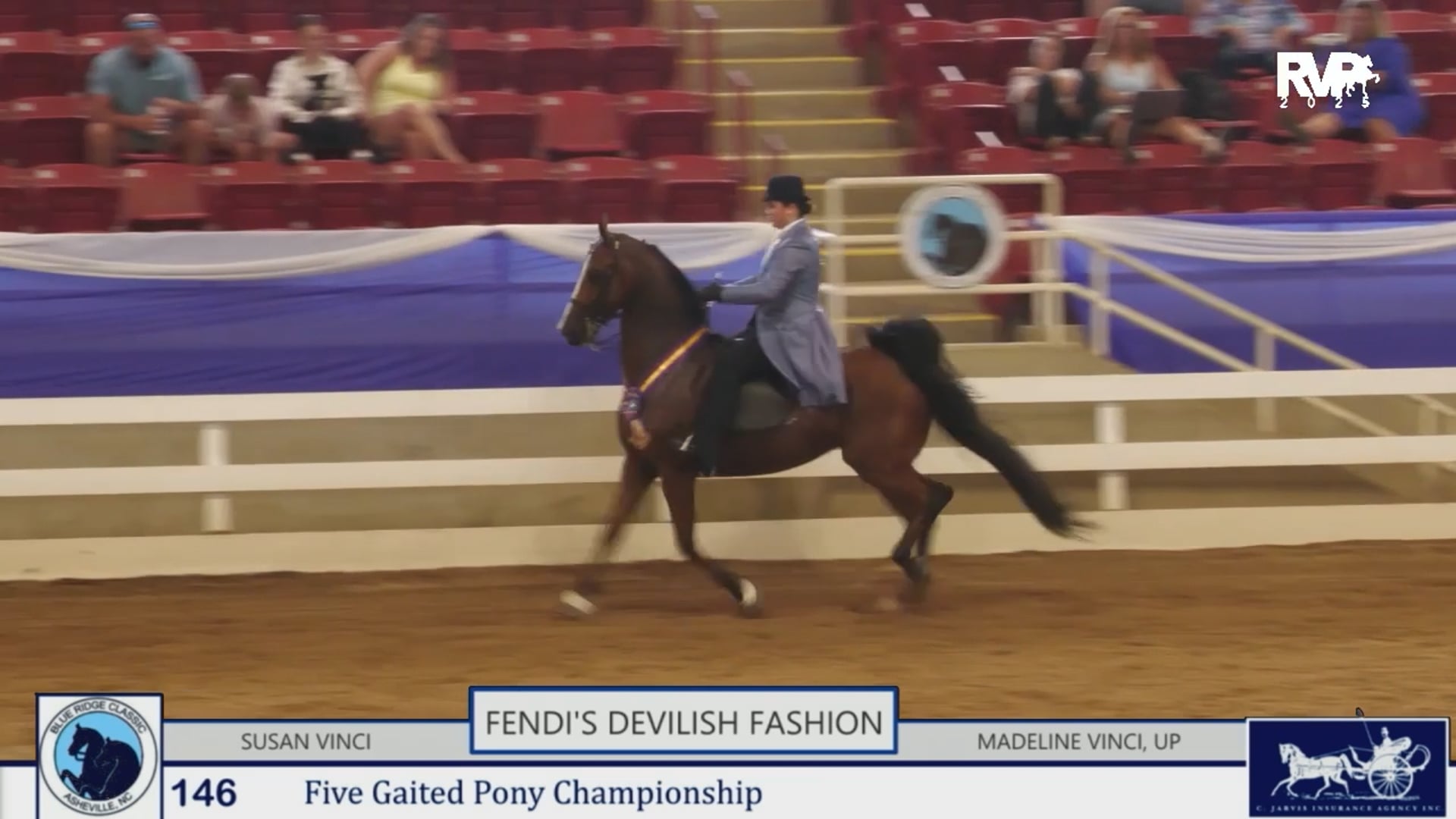 BRC25 - Class 146 - Five Gaited Pony Championship