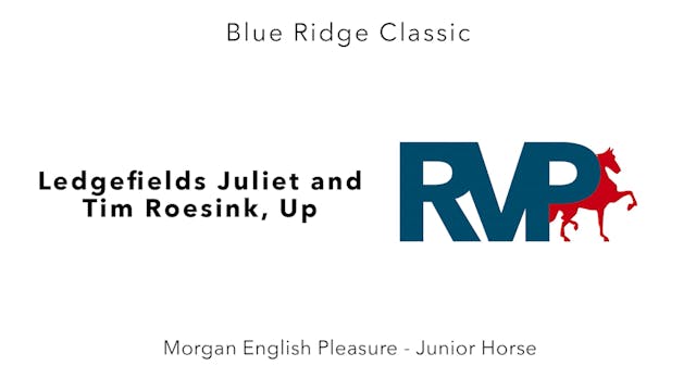 BR24 - Class 26 - Ledgefields Juliet ...