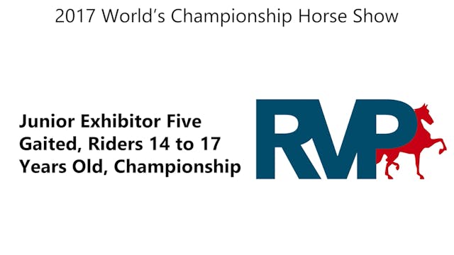 WCHS17 - Class 208 - Junior Exhibitor...
