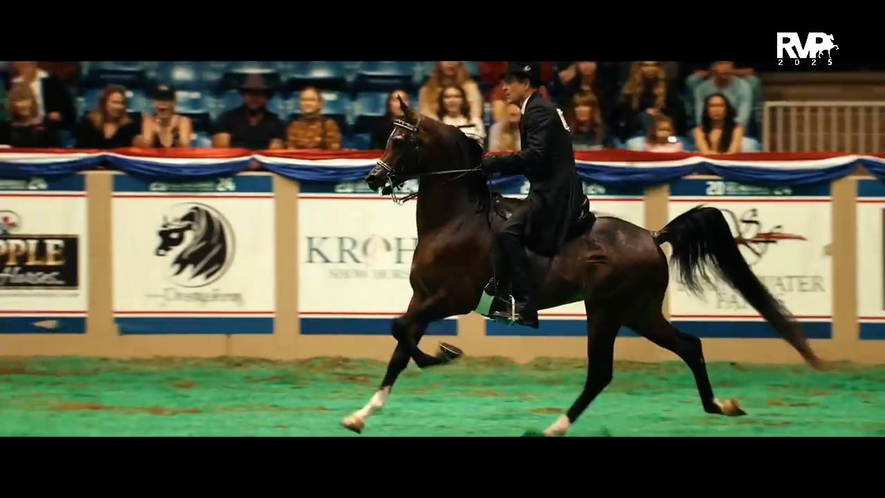 2025 Arabian Nationals - Saturday Eve...