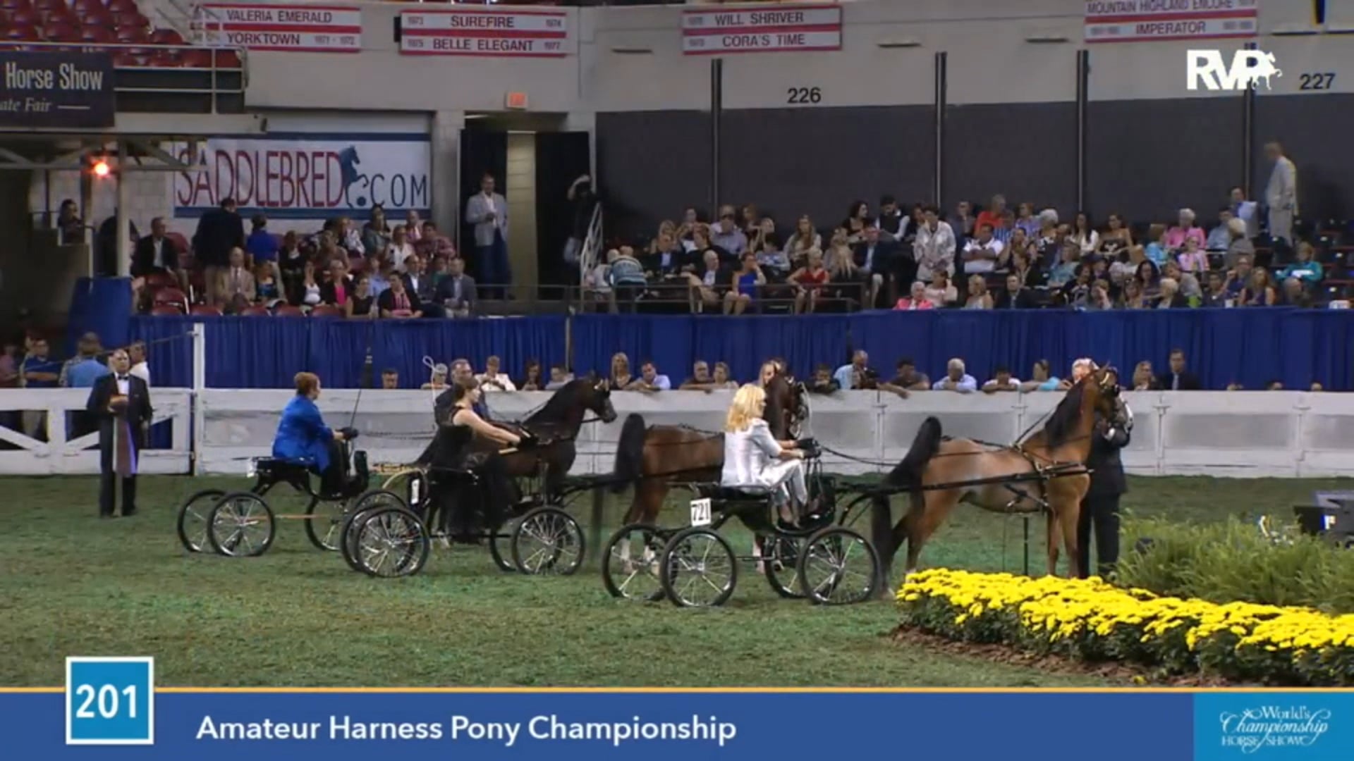 2015 WCHS - Class 201 Amateur Harness Pony 
Championship