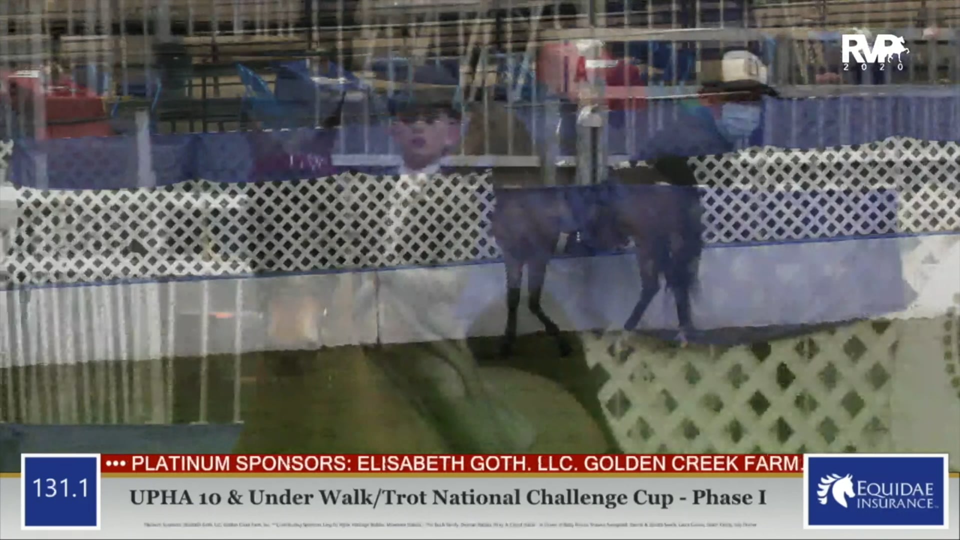 2020 AR - Class 131.1 UPHA 10 & Under Walk:Trot
National Challenge Cup Phase 1