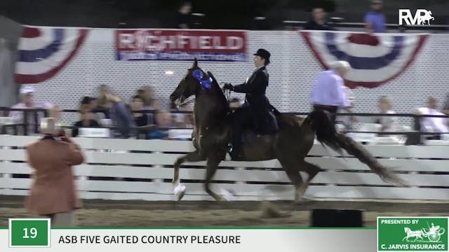 RC19 - Class 19 - Undulata's Cheekie Nut