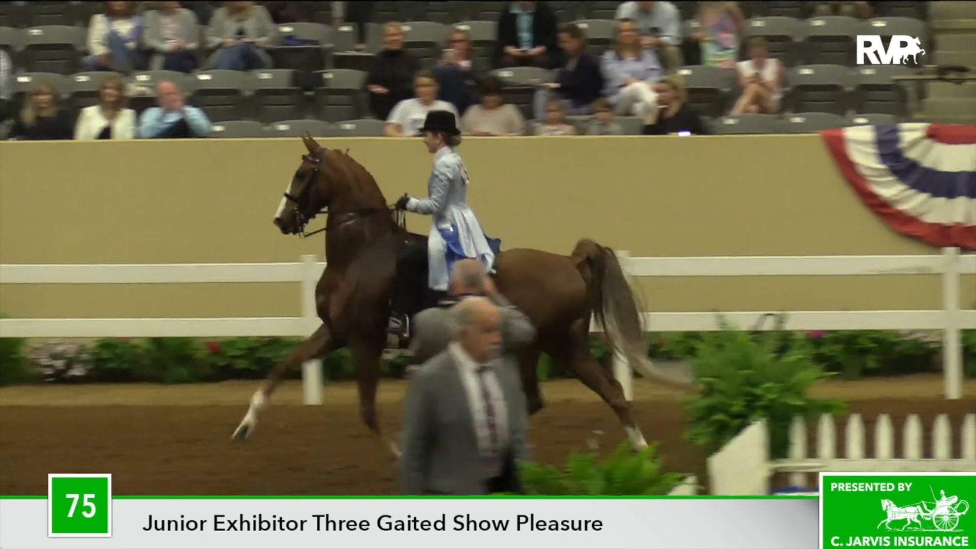 KYSP18 Class 75 Far Away Spoiled Cat