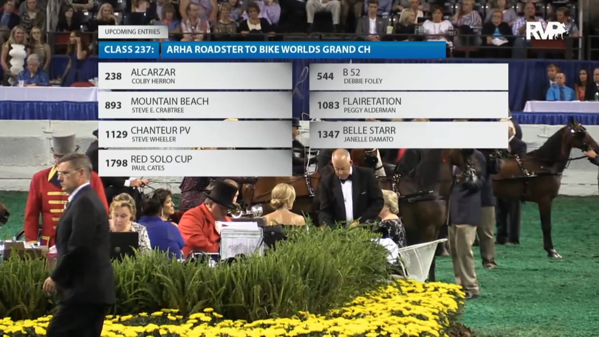 2016 WCHS - Class 236 Harness Pony World's Grand
Championship