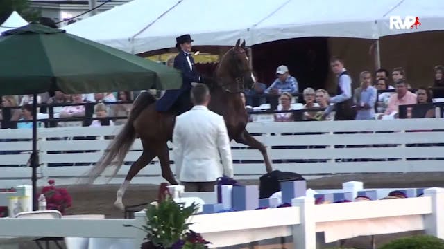 RC15 - Class 53 - Junior Exhibitor Th...