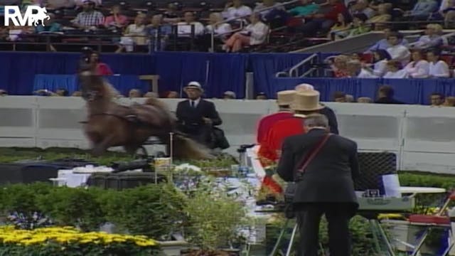 2004 World's Championship Horse Show ...