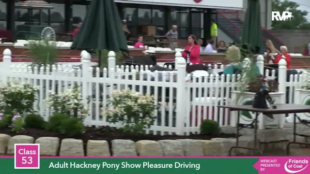 2015 LJL - Class 53 Adult Hackney Pon...