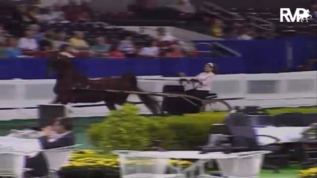 2007 WCHS Class 115 ASB Junior Exhibi...