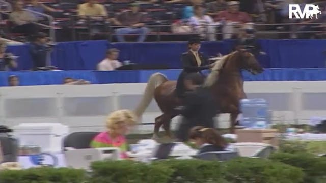 2004 World's Championship Horse Show ...