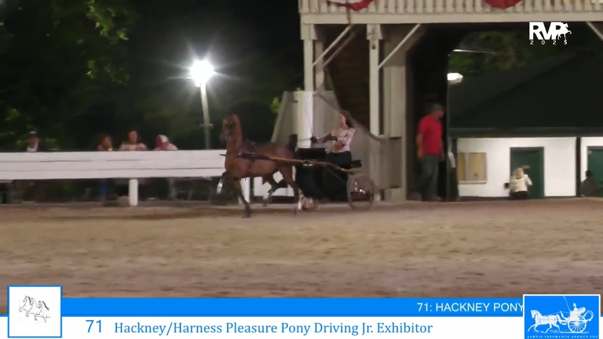 SSC25 - Class 71 - Hackney-Harness Pleasure Pony Driving Jr Exhibitor