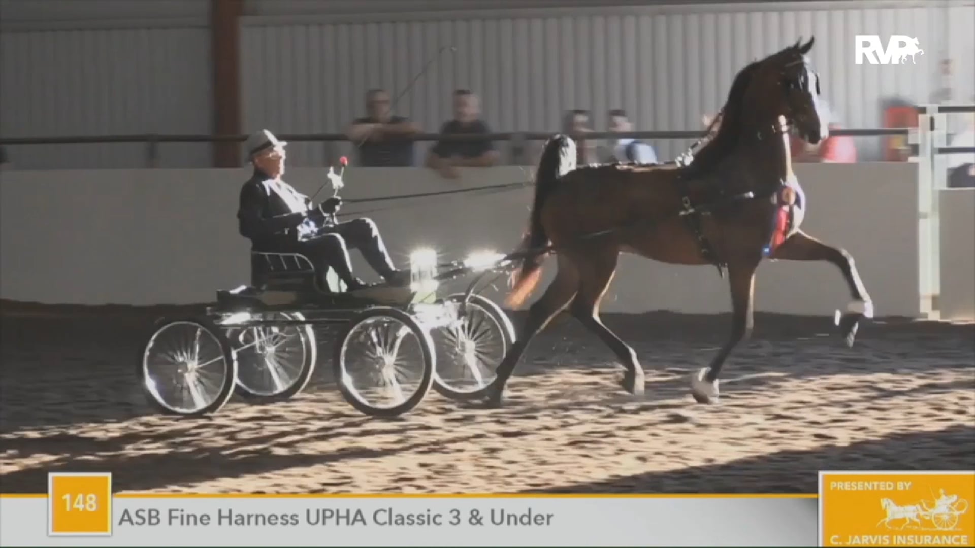 2020 UPHA Chapter 16 Spring Horse Show - Friday Morning