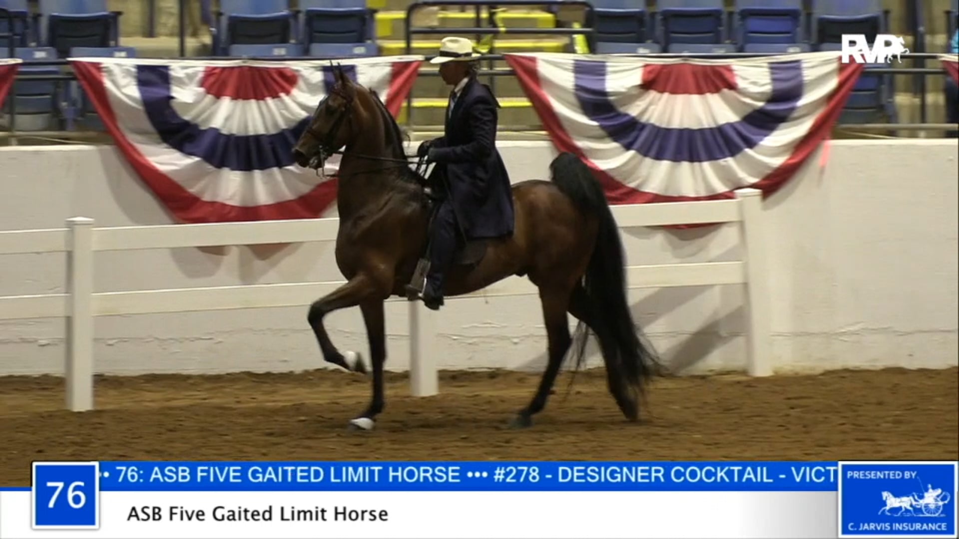 2020 BB - Class 76 ASB Five Gaited Limit Horse