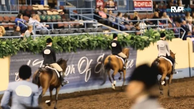 MGN16 - Coliseum - Thursday Evening
