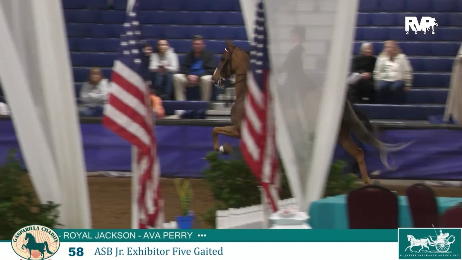 GC25 - Class 58 - ASB Jr Exhibitor Five Gaited