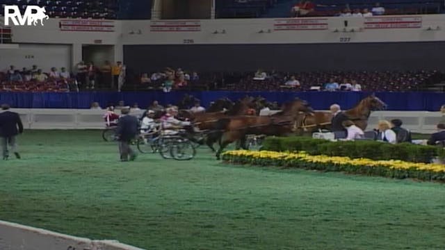 2004 World's Championship Horse Show ...