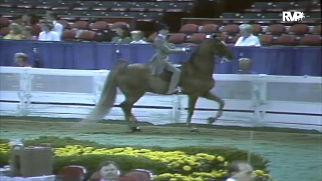 1991 WCHS Class 45 Equitation Open Ri...