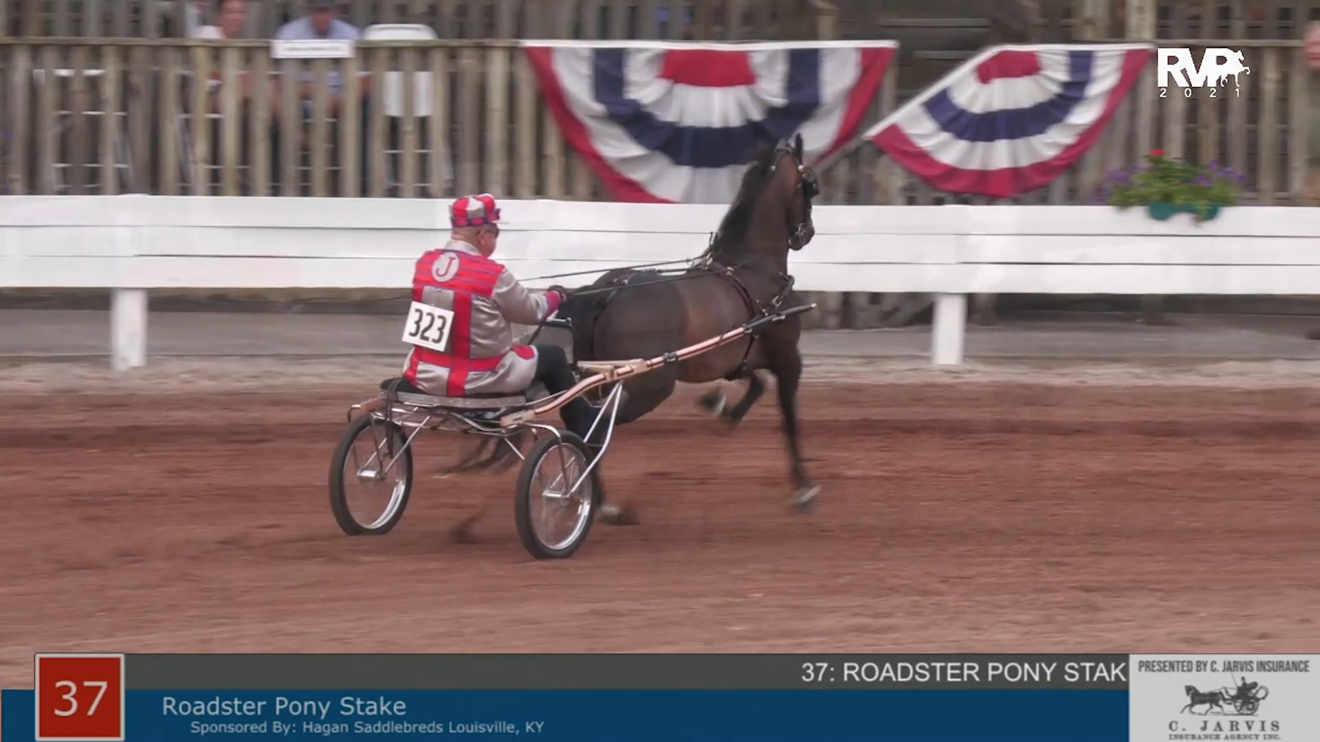 SHS21 - Class 37 -  Roadster Pony Stake