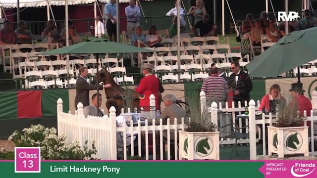 2015 LJL - Class 13 Limit Hackney Pony 