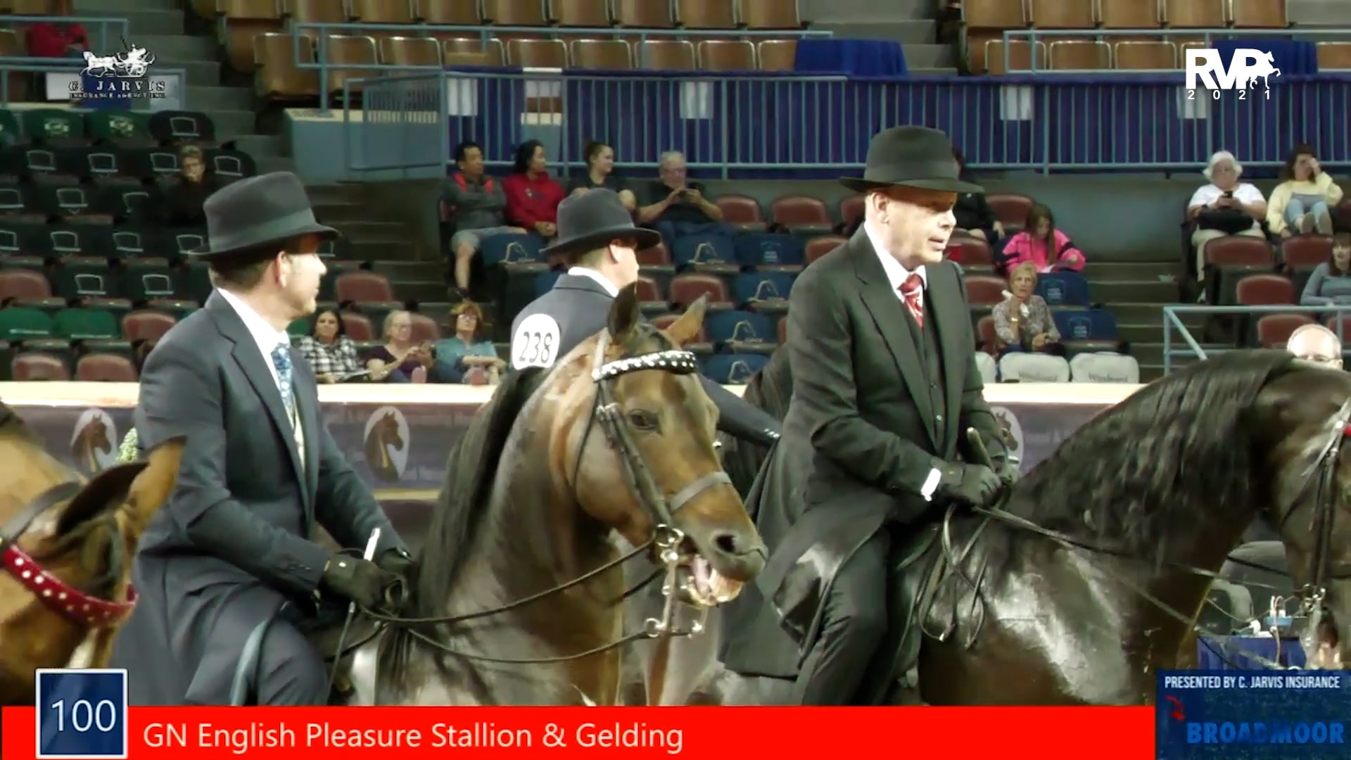 MGN21 - Class 100 - GN English Pleasure Stallion & Gelding
