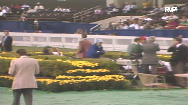 1992 WCHS Class 163 Junior Exhibitor ...