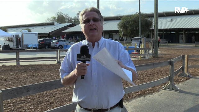 2020 Gasparilla Charity Horse Show - ...