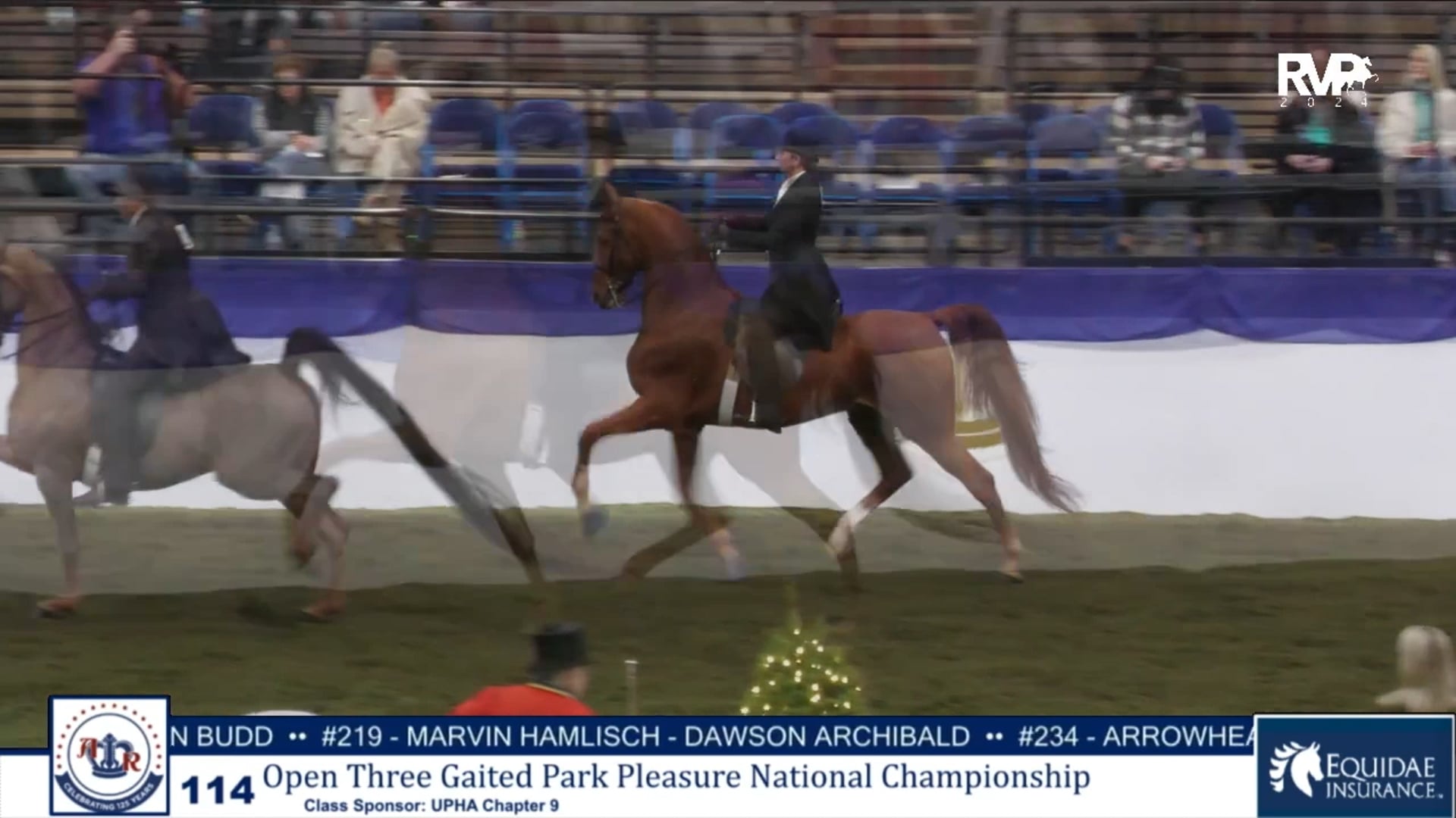 AR24 - Class 113 - Harper Breaux,Up and So it is Stan
