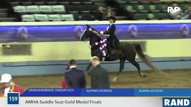 MGN19 - Dragonsmeade Onegin GCH - Cla...