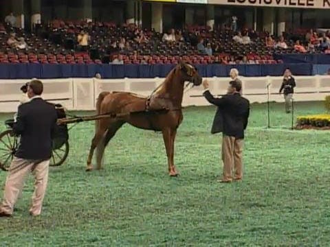 2008 WCHS Class 12 Country Pleasure D...
