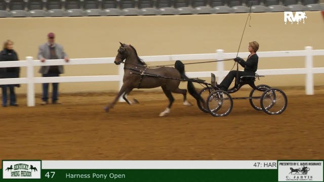 KYSP24 - Class 47 - Harness Pony Open