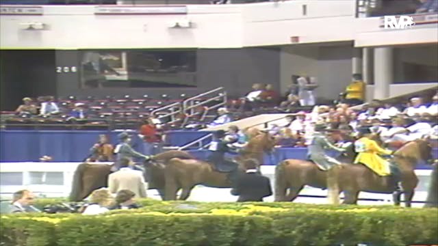 1992 WCHS Class 159 Junior Exhibitor ...