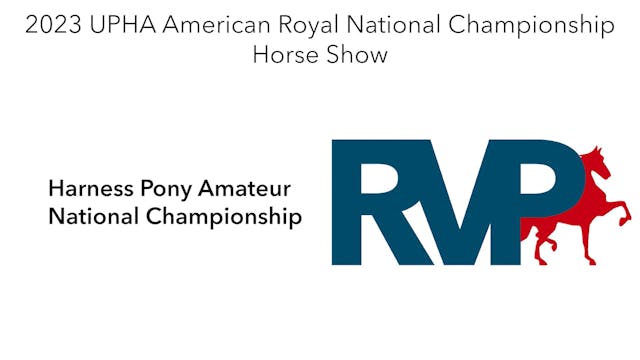 AR23 - Class 155 - Harness Pony Amate...