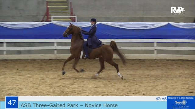 ASF21 - Class 47 - ASB Three Gaited P...