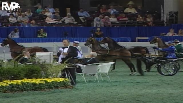 2004 World's Championship Horse Show ...