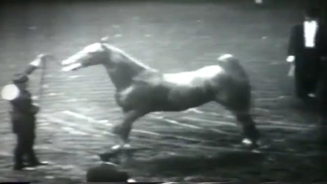International Horse Show 1965 Madison...