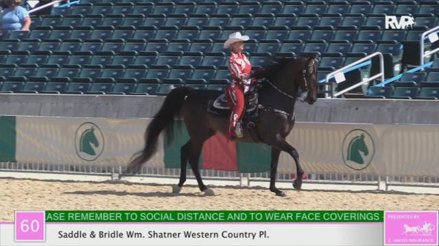2020 LJL - Class 60 Saddle & Bridle W...