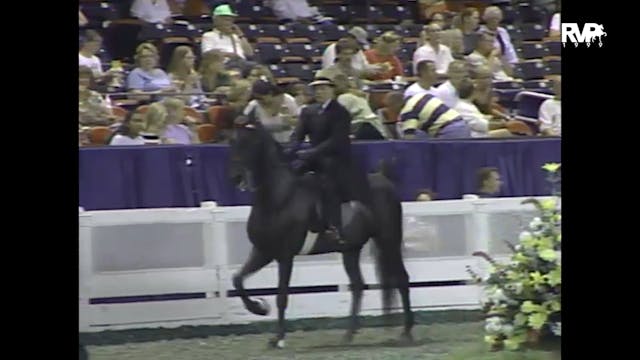 1999 WCHS - Class 175 ASB Five Gaited...