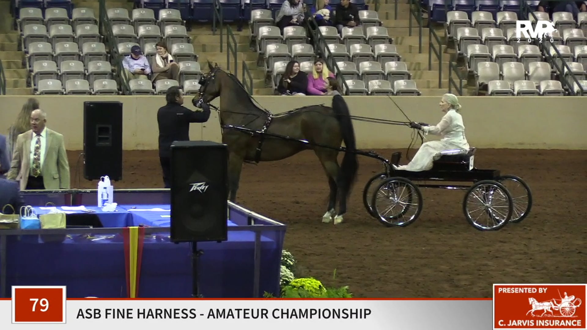 2020 SSFF - Class 79 ASB Amateur Fine Harness
Championship