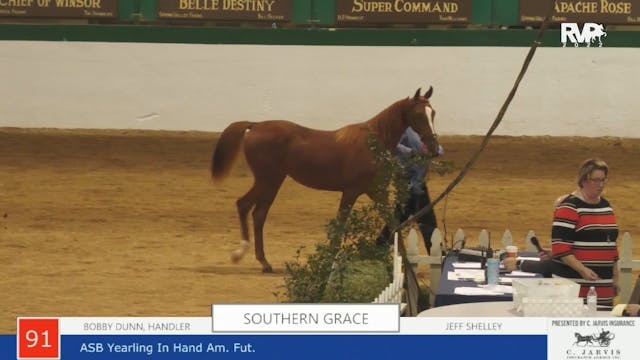NCSC22 - Class 91 -  ASB Yearling In ...