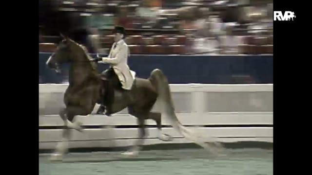 1997 WCHS - Class 21 ASB Three Gaited...