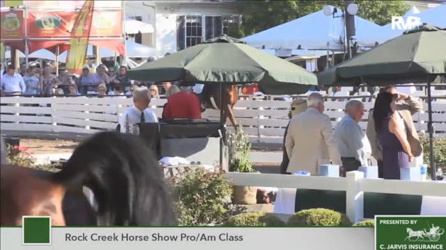 2016 RC - Rock Creek Horse Show Pro:A...