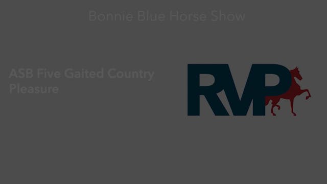 BB24 - Class 42 -  ASB Five Gaited Co...