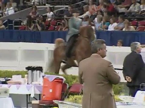 2008 WCHS Class 73 Riders 13 & Under ...