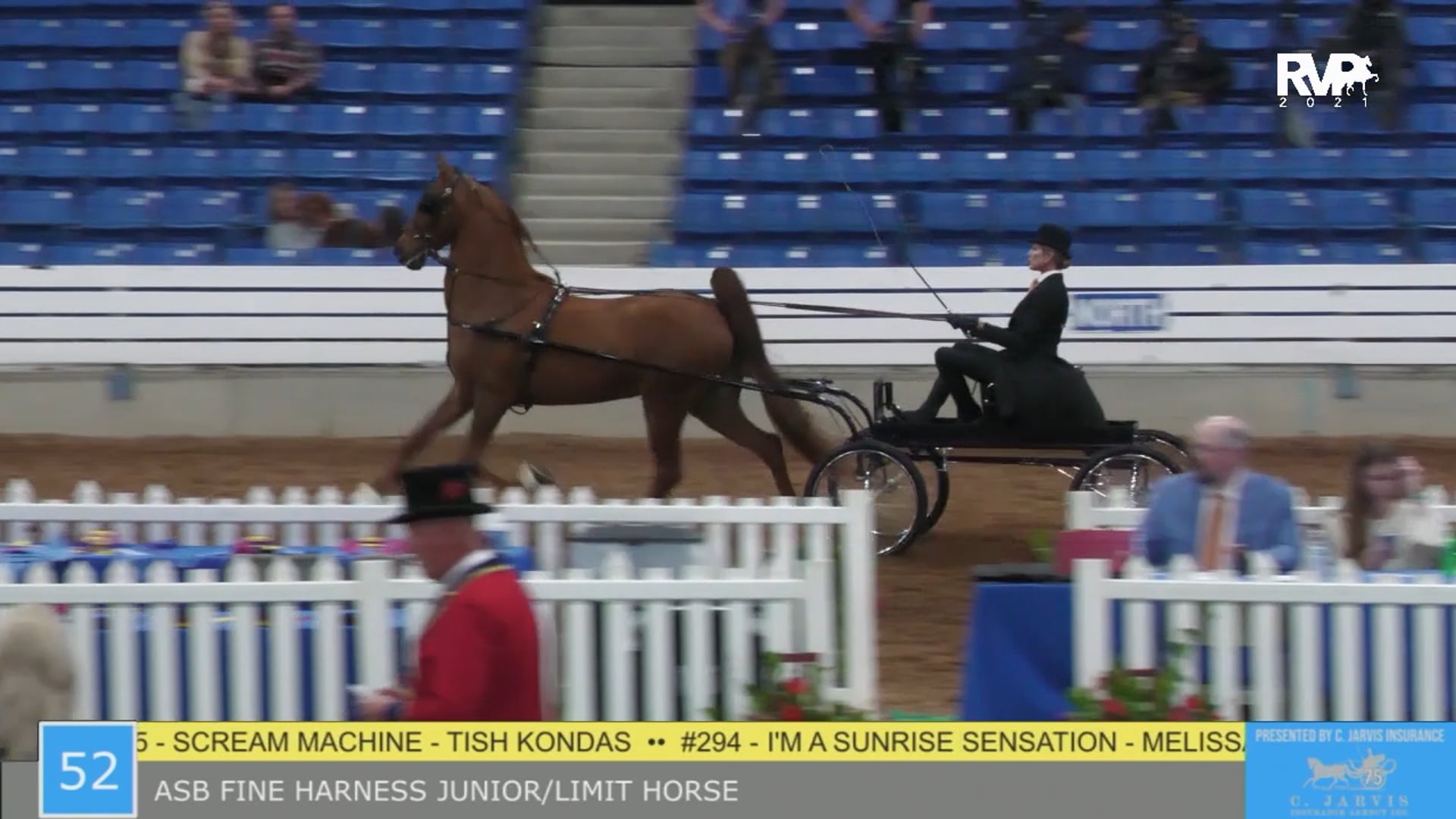 SSSF21 - Class 52 - ASB Fine Harness Junior Limit Horse