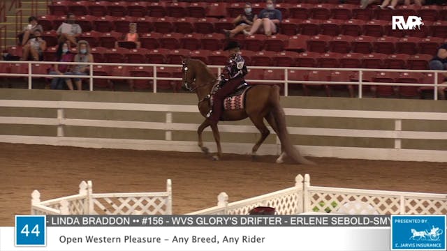 2020 ASF - Class 44 Open Western Plea...