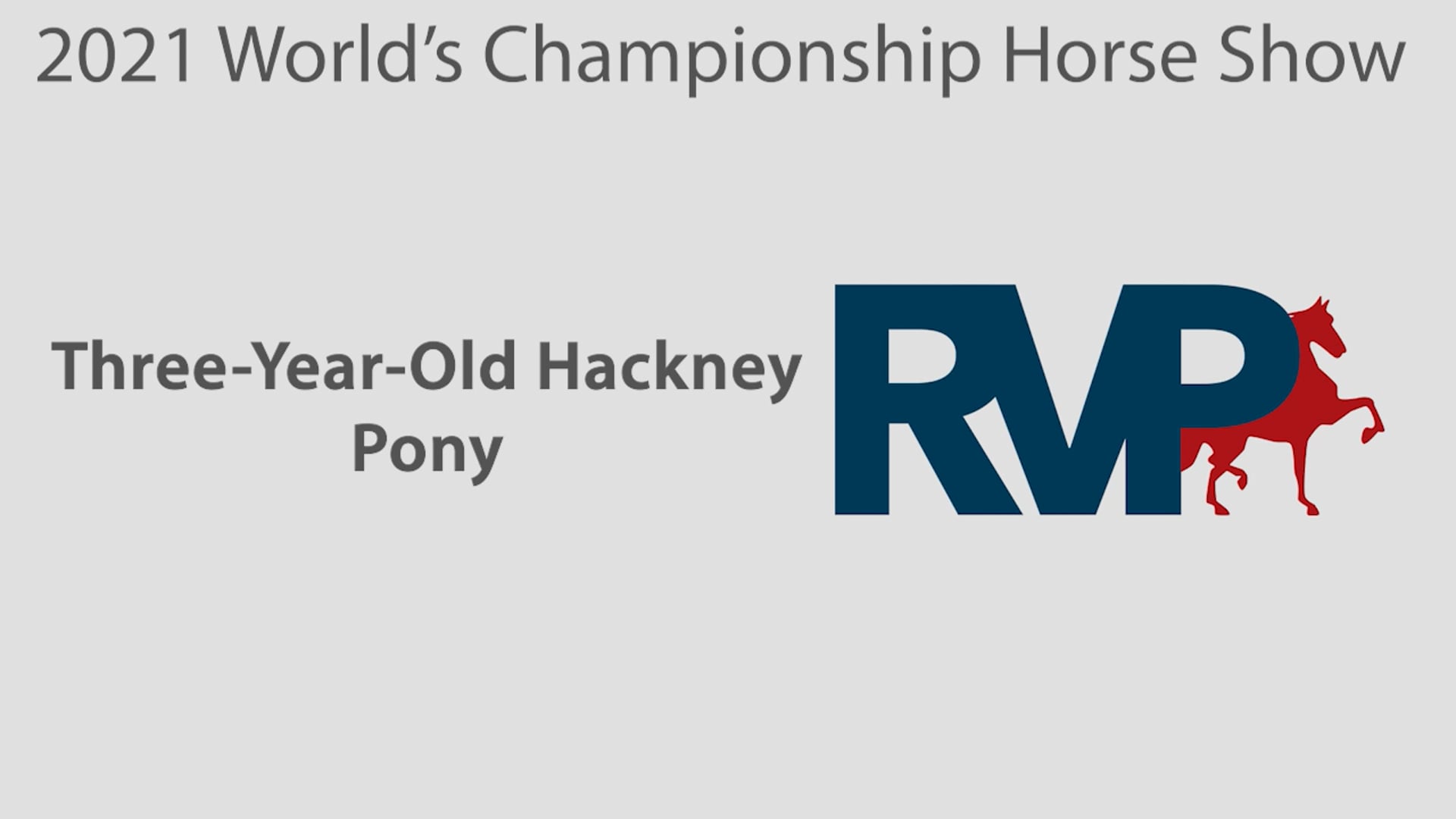 WCHS21 - Class 94 - Three-Year-Old Hackney Pony