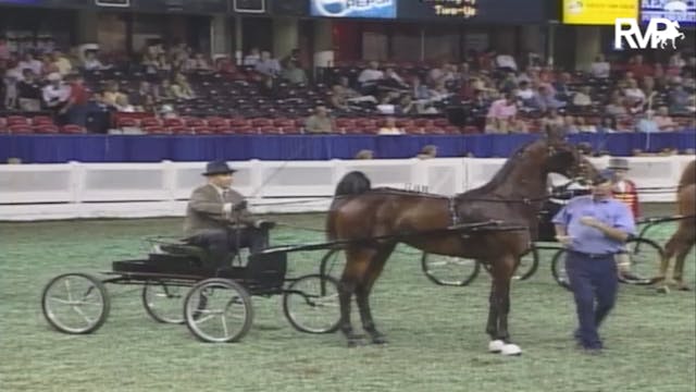 2007 WCHS Class 93 ASR Futurity Of Ke...