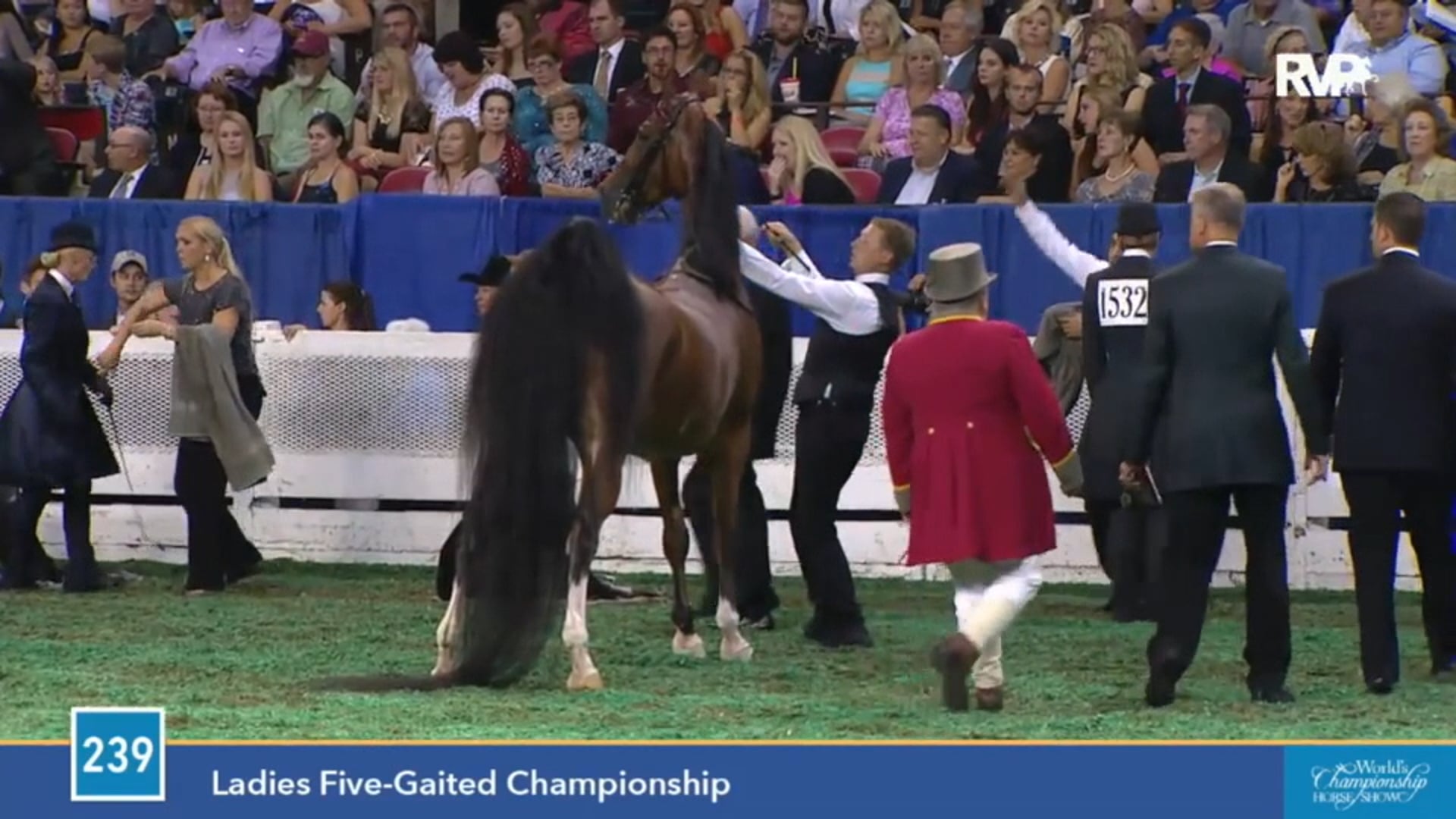 2015 WCHS - Class 239 Ladies Five Gaited Championship