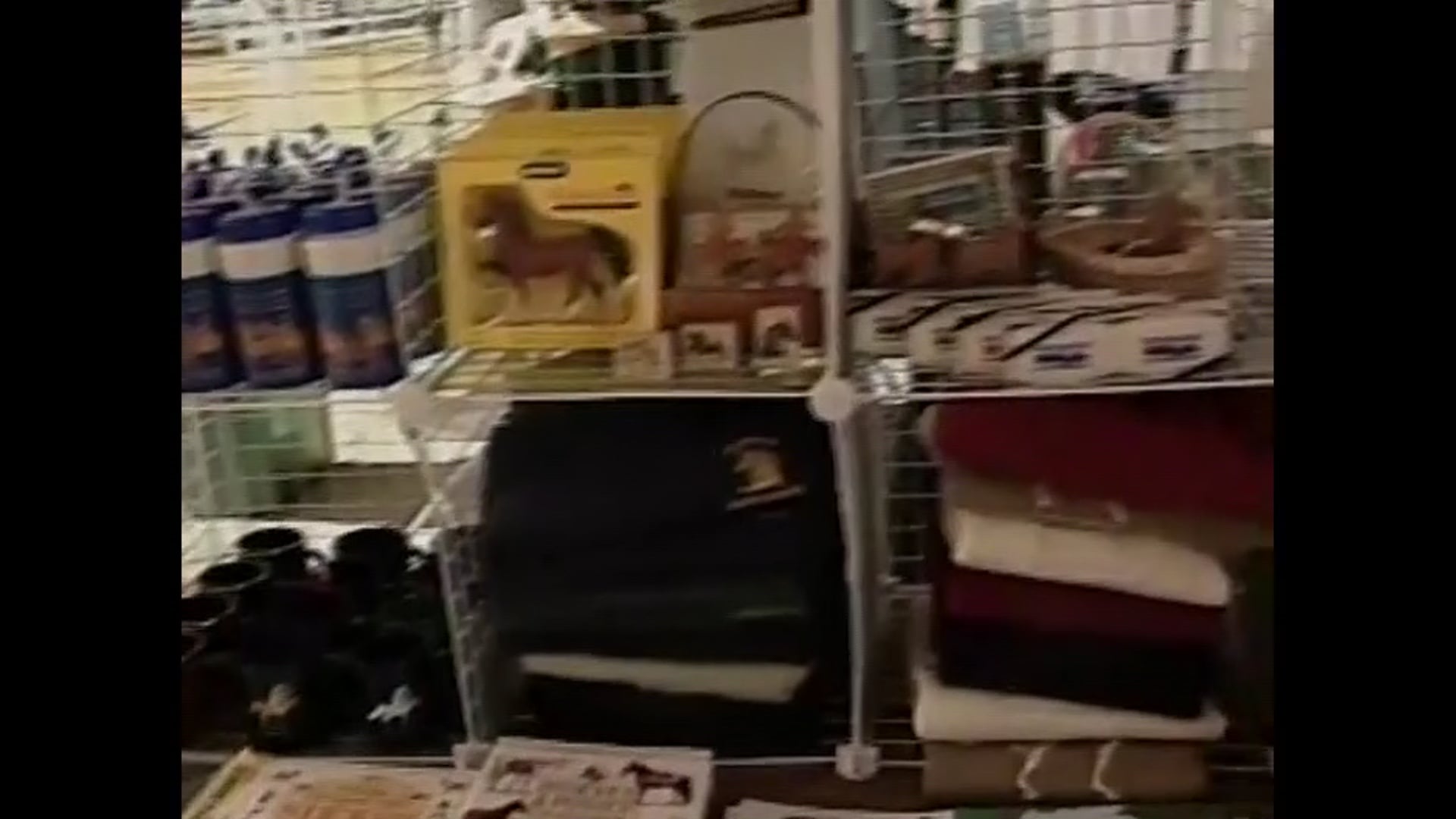 Louisville Tonight Live - Mary Gaylord on Saddlebreds and the Shelbyville Horse Show