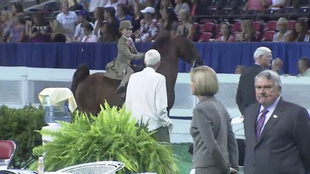 2011 WCHS Class 177 Equitation Walk T...